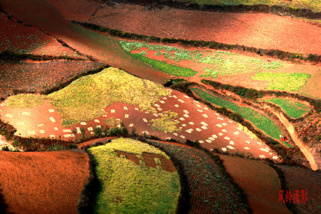 2011.11�����϶��������� 196_����_����.jpg