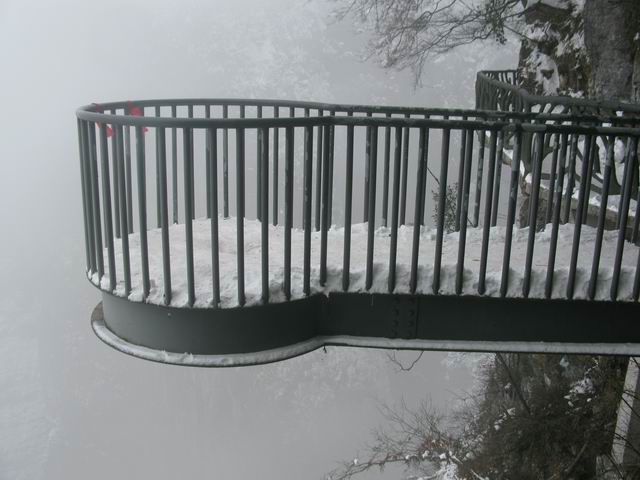 ������С IMG_5590.JPG