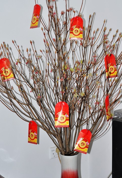 ���ӻ� a.jpg