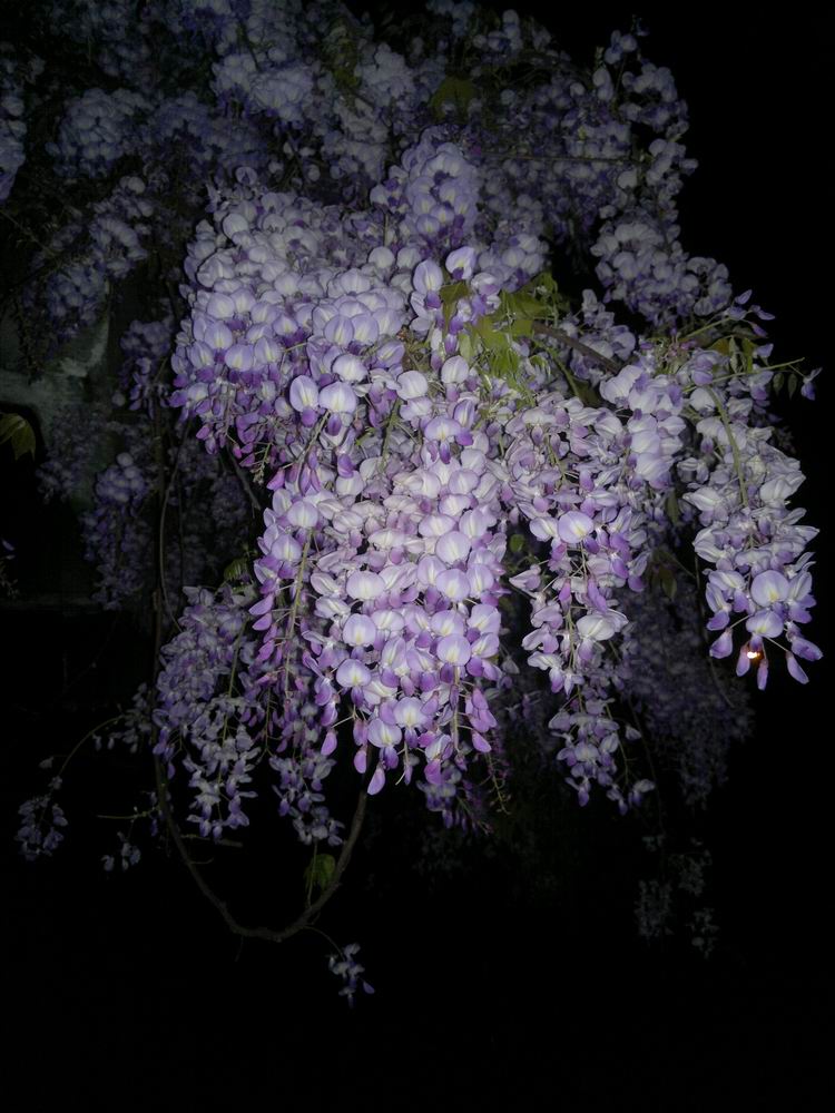 ������С 201204021101.jpg