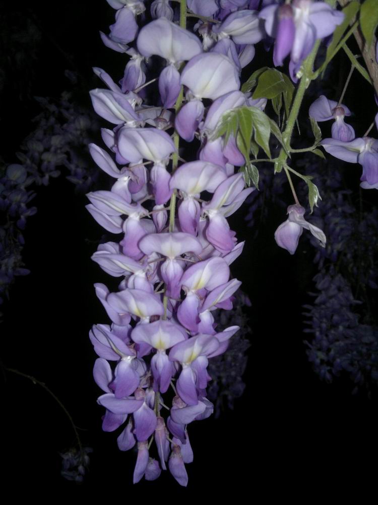 ������С ������С 201204021111.jpg