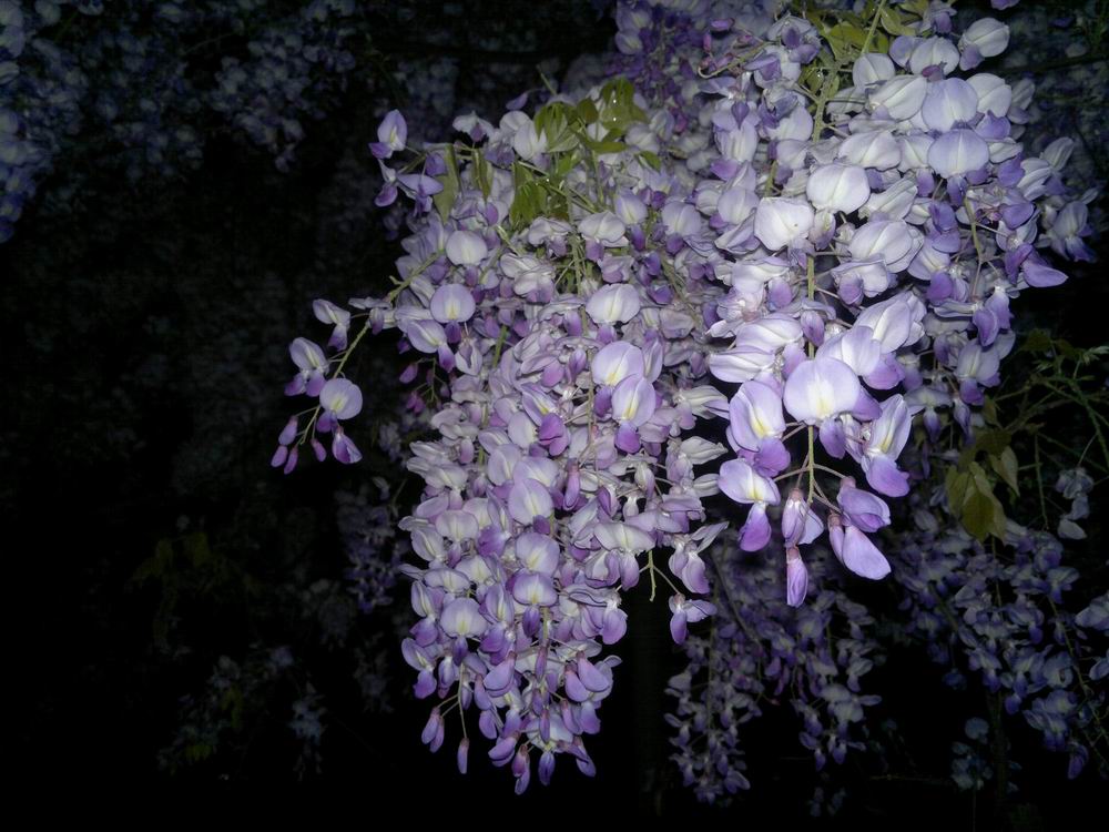 ������С ������С 201204021121.jpg