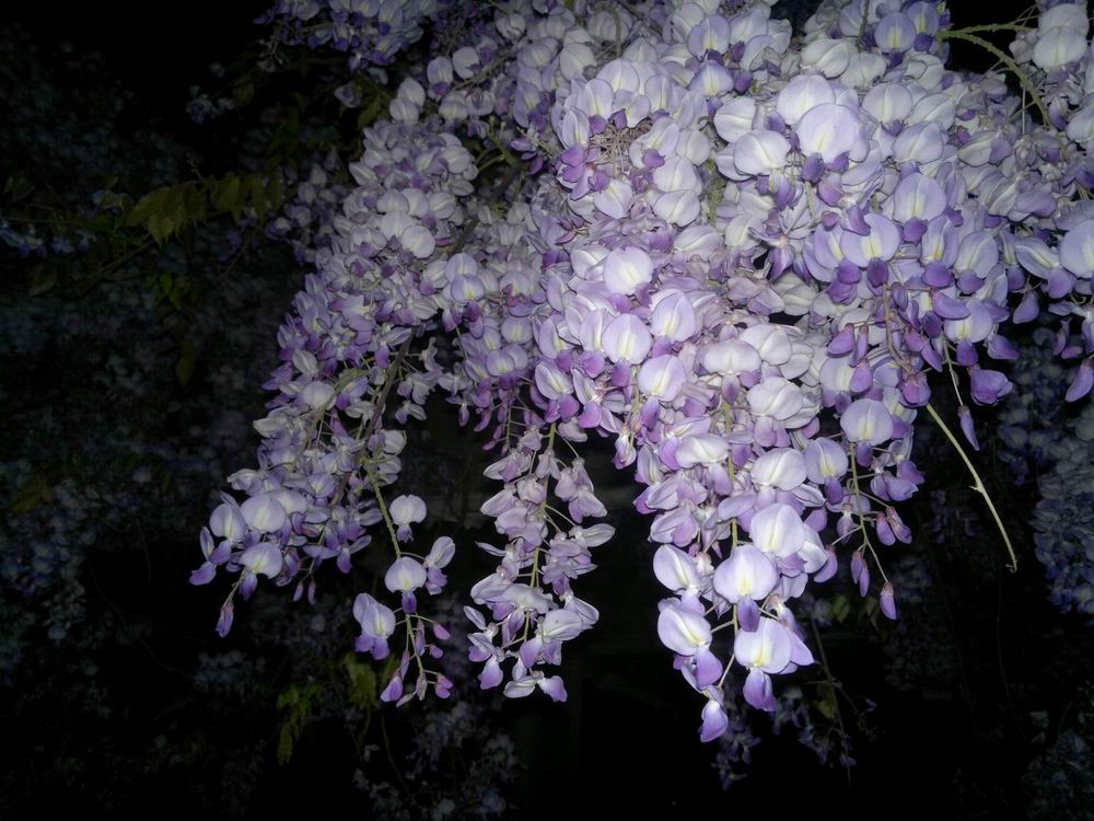 ������С ������С 201204021122.jpg