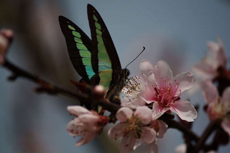 ������С IMG_2931.jpg