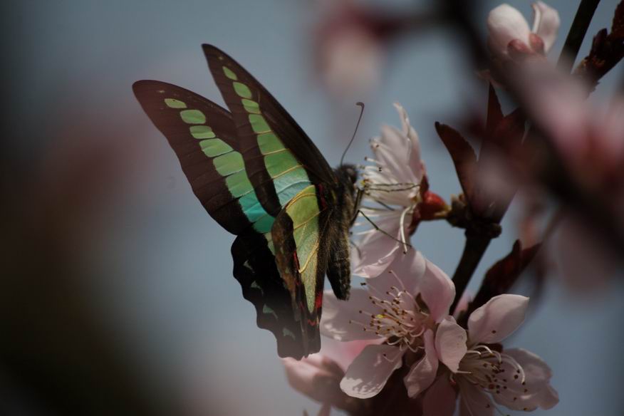 ������С IMG_2937.jpg