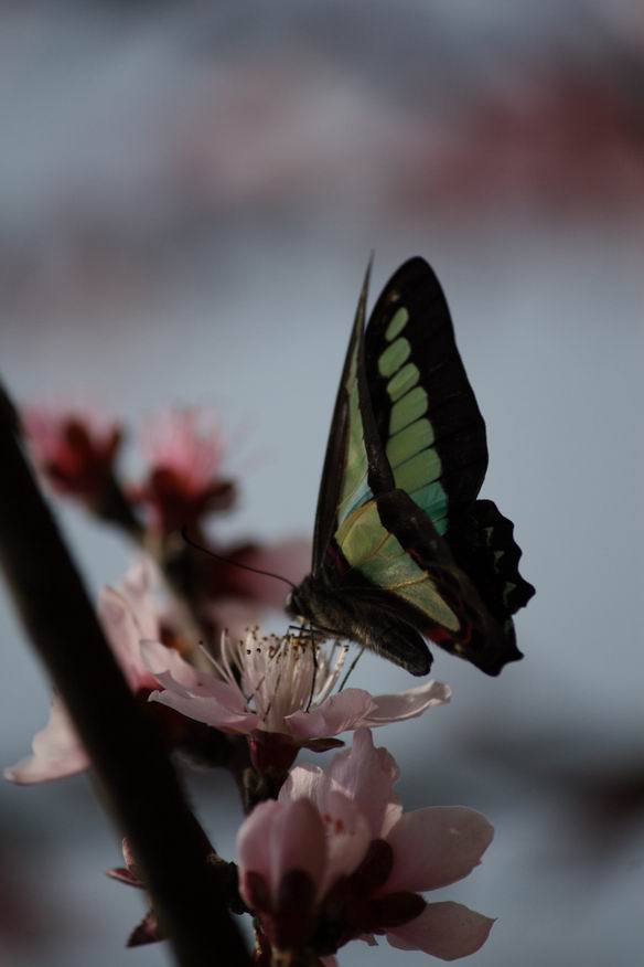 ������С IMG_2942.jpg