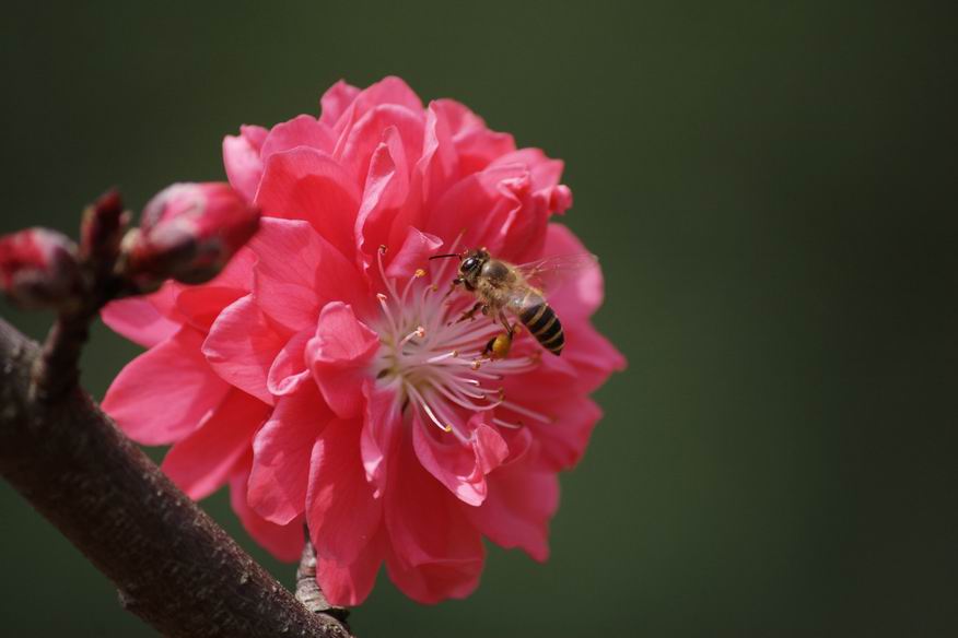 ������С IMG_2964.jpg