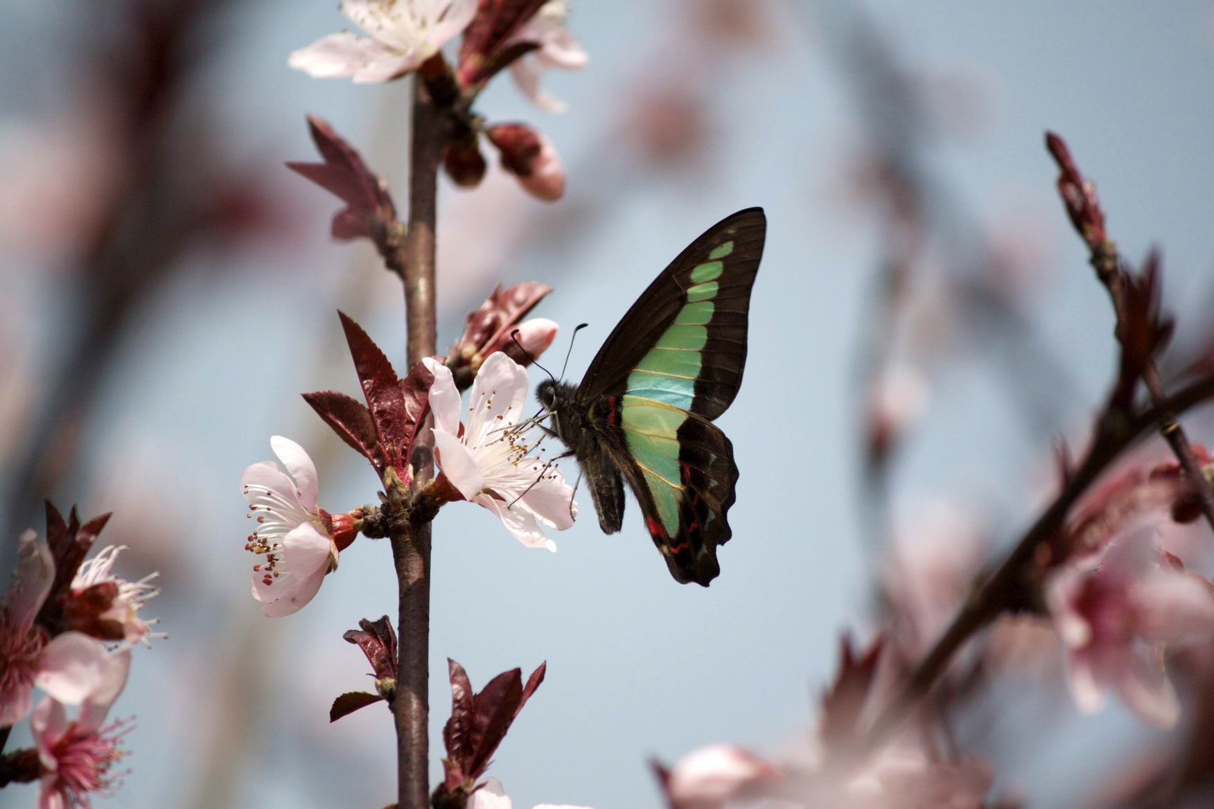 �����ع� IMG_2913.jpg