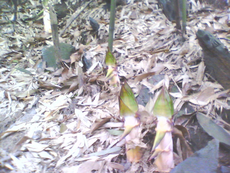 ð�����������