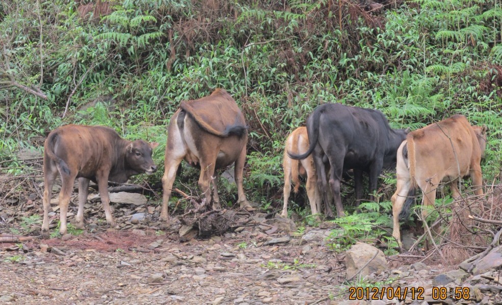 ɽ���д��������ţ