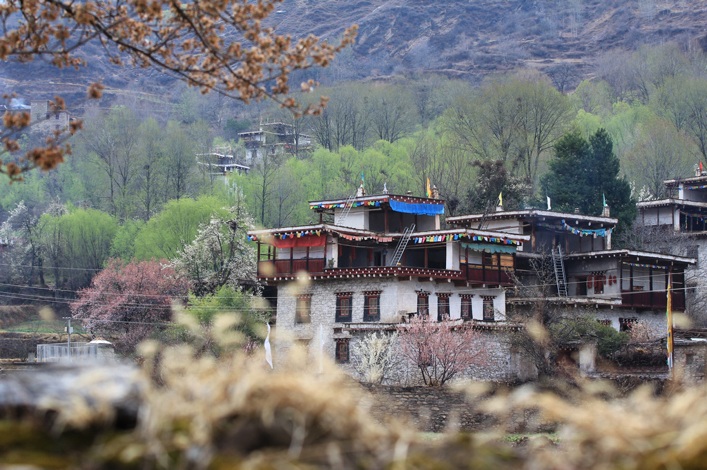 ��·�絽�����滨���һ���ֻ������ȥ��΢����һ�㣬��Щ����û�����ݲ���˵��һ��������ݻ����