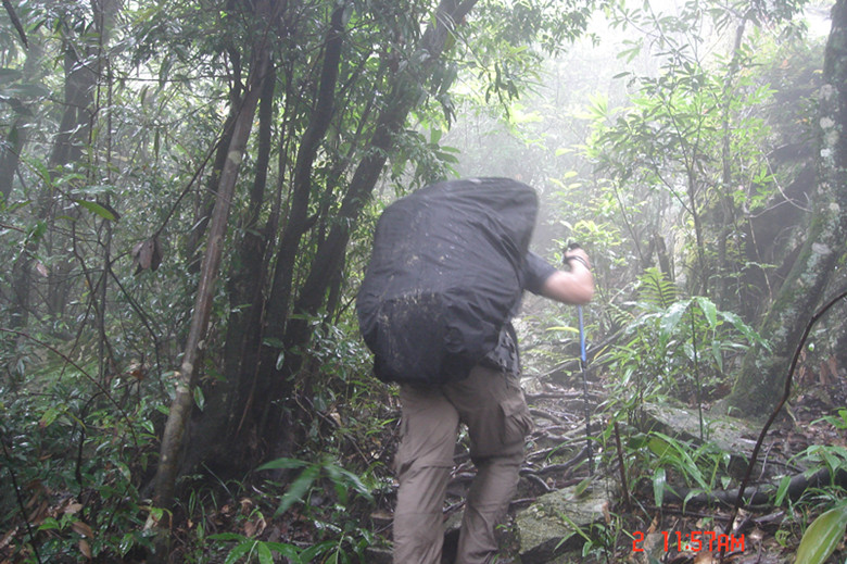 һ�����ȵ�V8