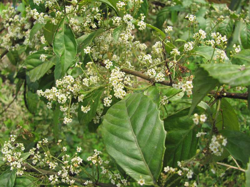 4�·��ڱʼ�ɽ��