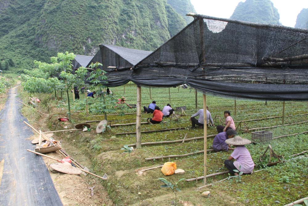 ������һȺ�Ͷ�����ѧϰ��