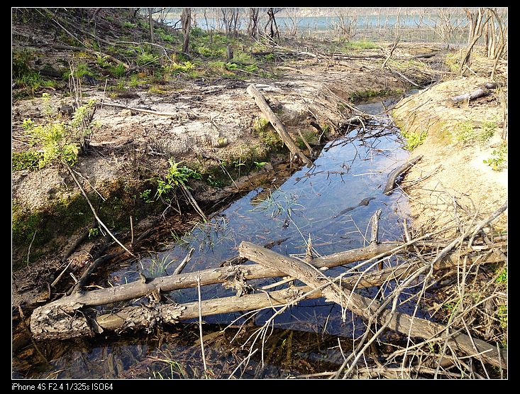 ��Ϫ�Ƚ��峺����ˮ��ˬ