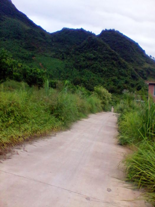 2012-08-23 14.21.57.jpg