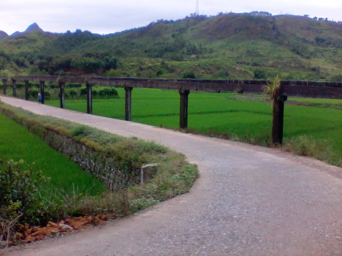 2012-08-23 14.03.12.jpg