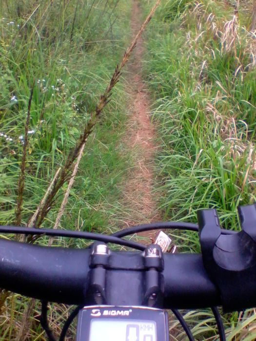 2012-08-23 14.30.22.jpg