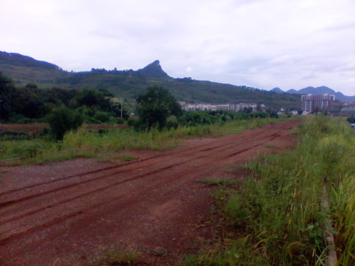 2012-08-23 15.48.37.jpg