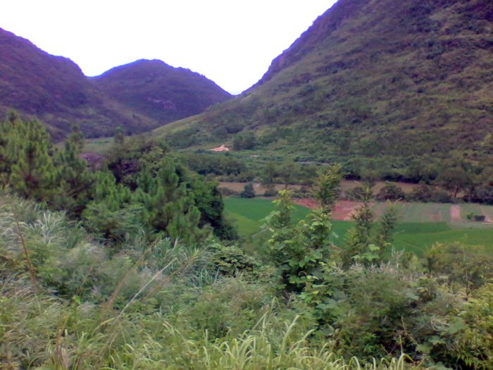 2012-08-23 15.04.49.jpg