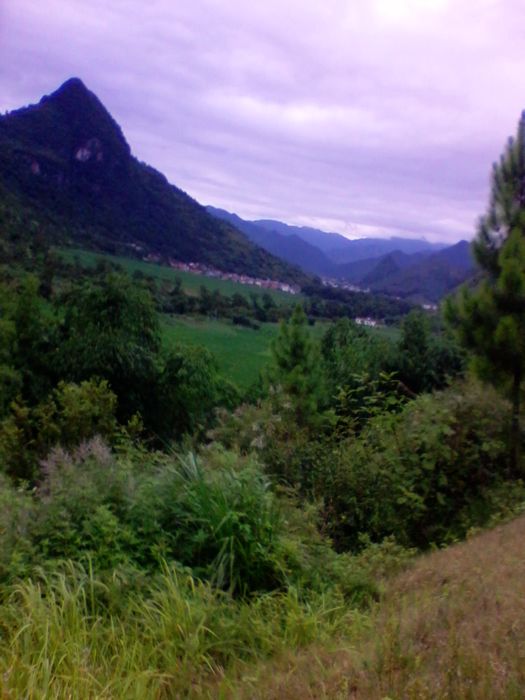 2012-08-23 15.04.41.jpg