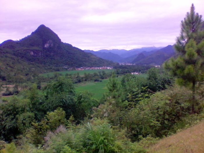 2012-08-23 15.04.31.jpg