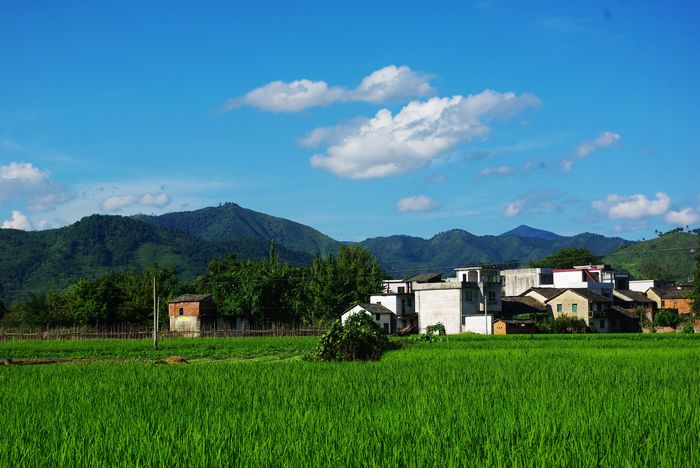 ������һ��