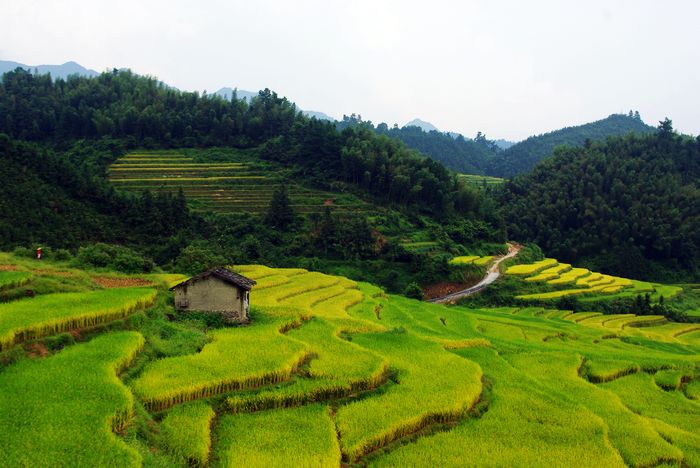 ŷ�Ҵ�����