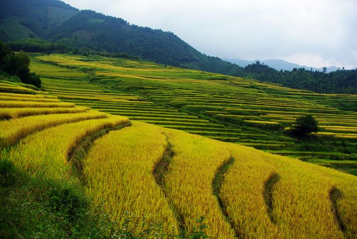 ŷ�Ҵ�����