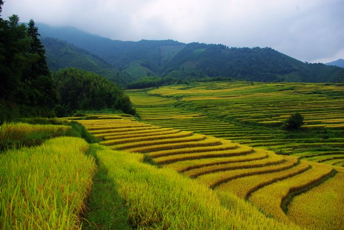 ŷ�Ҵ�����