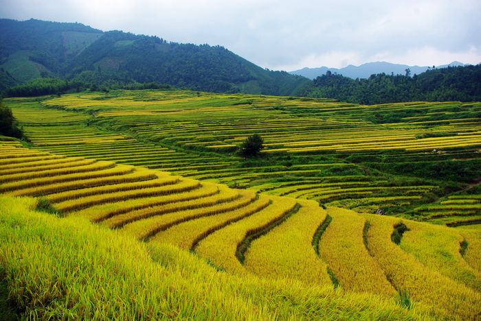 ŷ�Ҵ�����