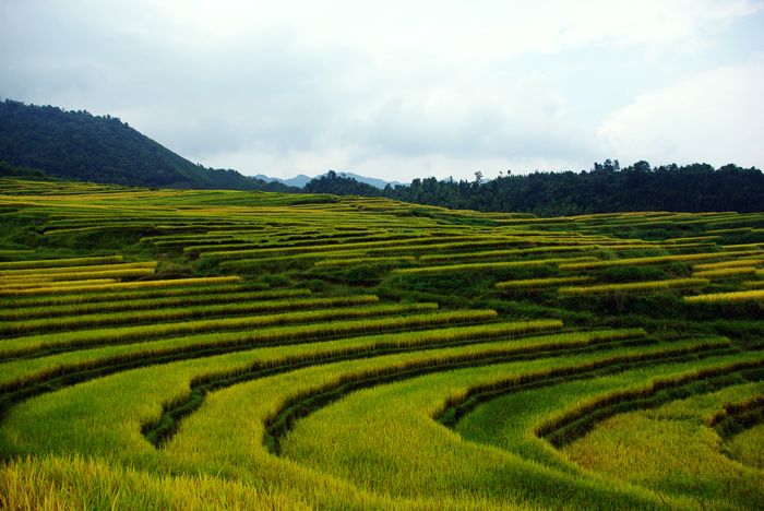 ŷ�Ҵ�����