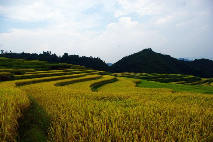 ŷ�Ҵ�����