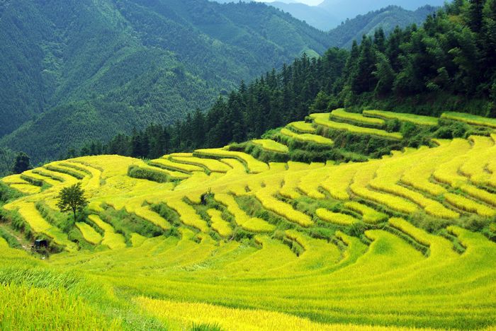 ŷ�Ҵ�����