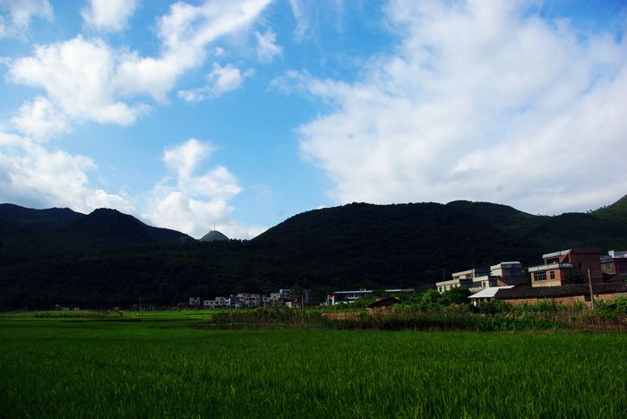 Զ����ˮ����