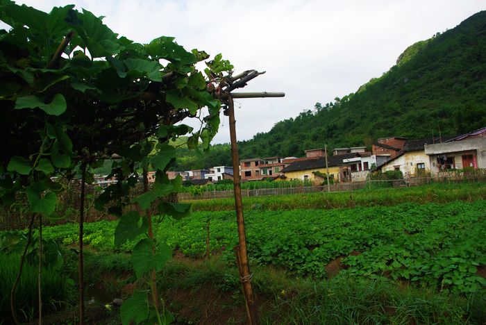 Զ����ˮ����