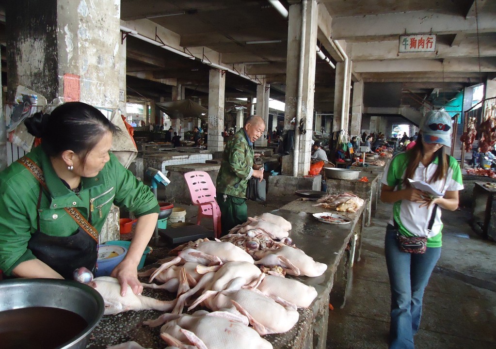 ����ʯ 9.jpg