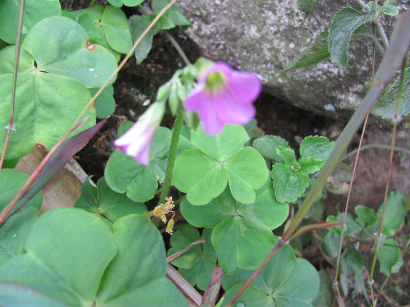 �컨�����ݣ����������������ݿơ�