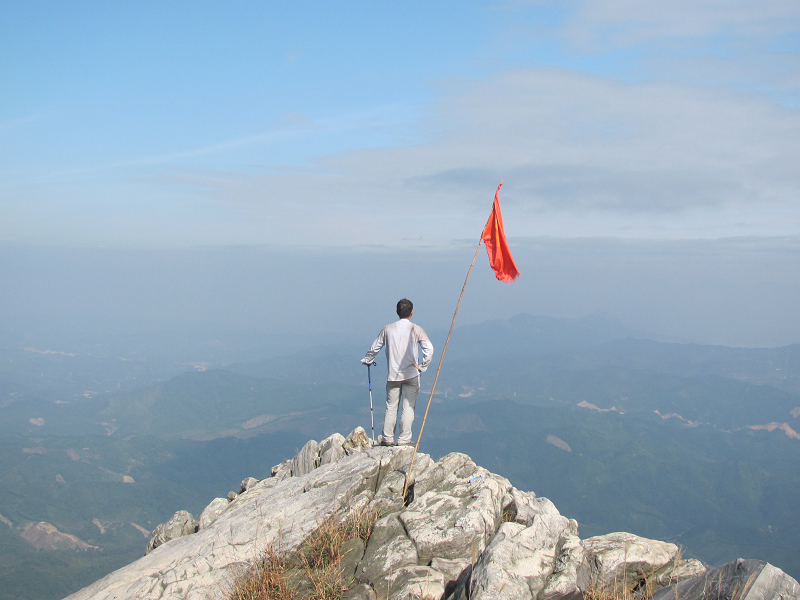 �����������