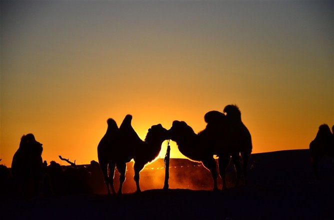 ��Ⱥ3��һMM����Ƭ�����ã���������������ҵ��;����ϵ��������������