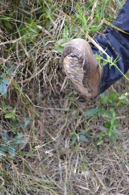 ������С DSC_0202.JPG