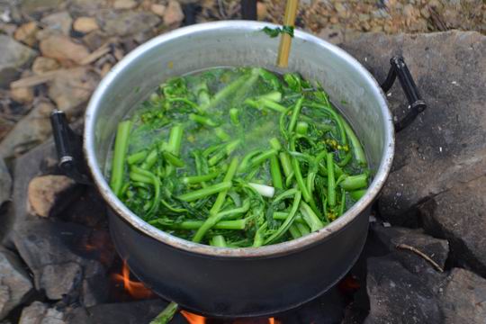 ������С DSC_0459.JPG