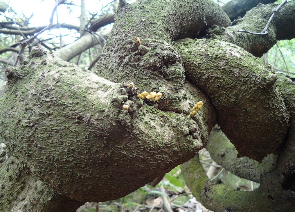 ��ȸ�� 1.jpg