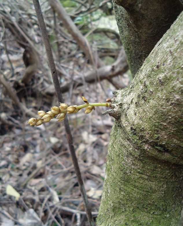 ��ȸ�� 2.jpg