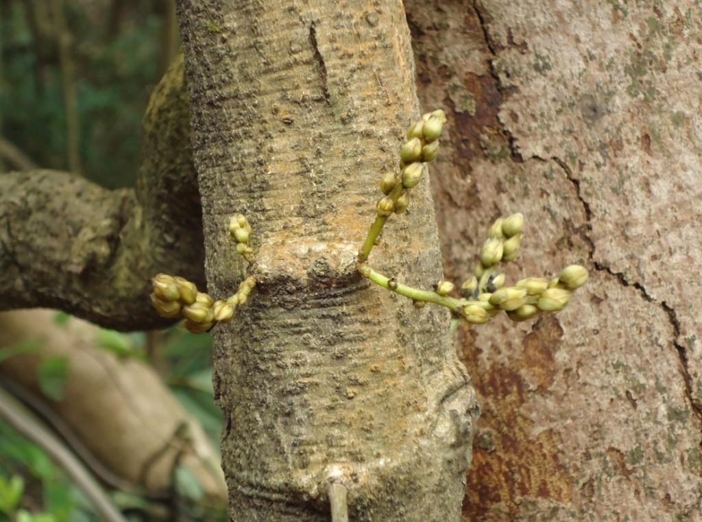 ��ȸ�� 2.jpg