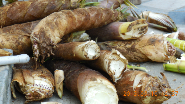  �ľ߳��������ձʼ�ɽ�����