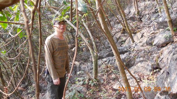 ������ǿ����Դ����ɽ