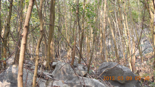 ������ǿ����Դ����ɽ