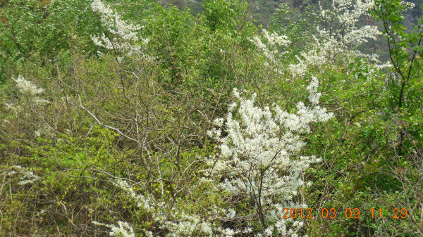 ������ǿ����Դ����ɽ