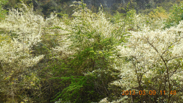 ������ǿ����Դ����ɽ